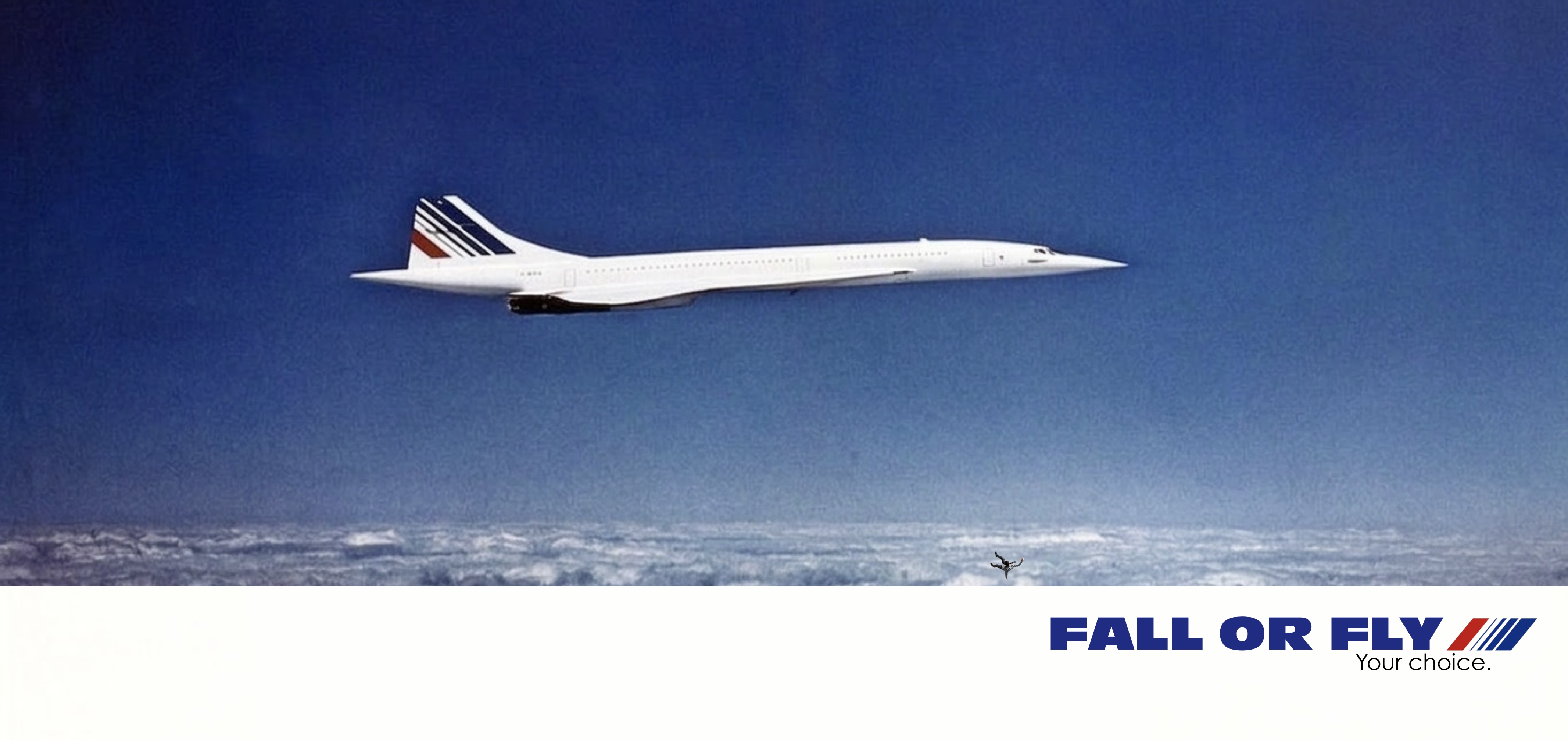 FALL OR FLY